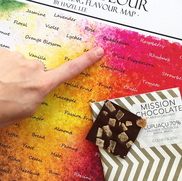 Taste With Colour: The Chocolate Tasting Flavour Map. Helping people discover flavours through colour!